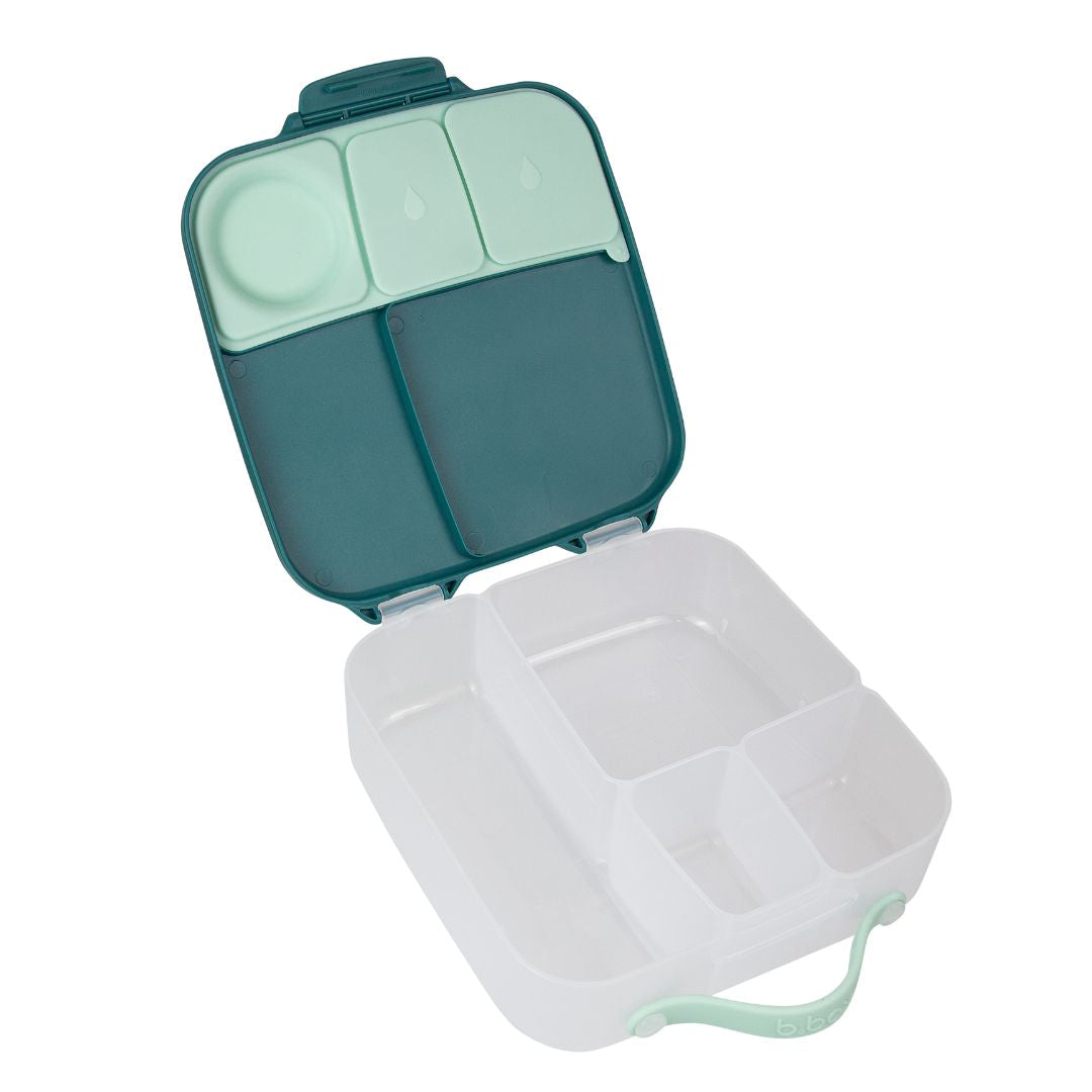 Large Bento Lunchbox with green lid