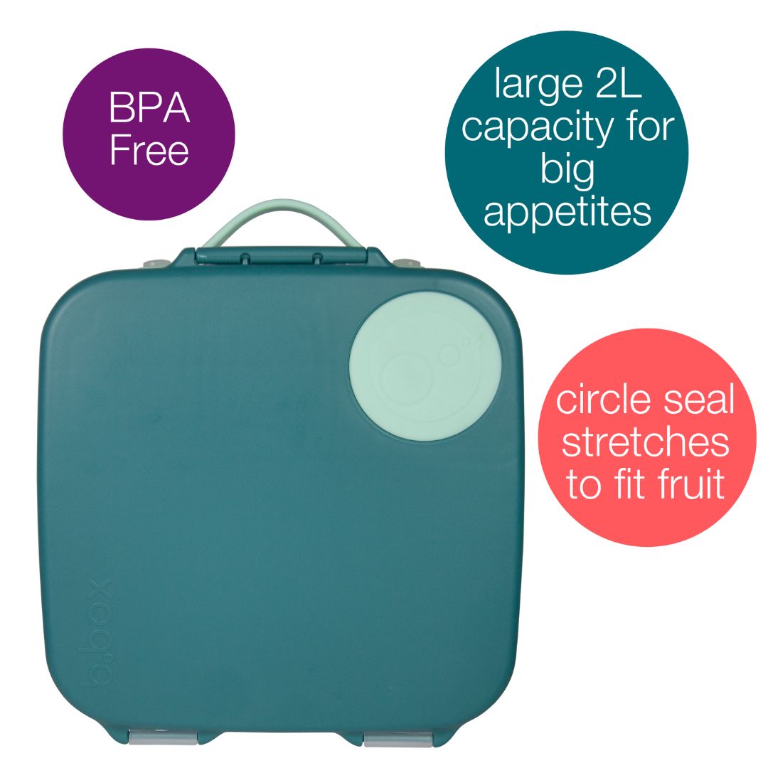 Features of lunchbox green lid and carry handle