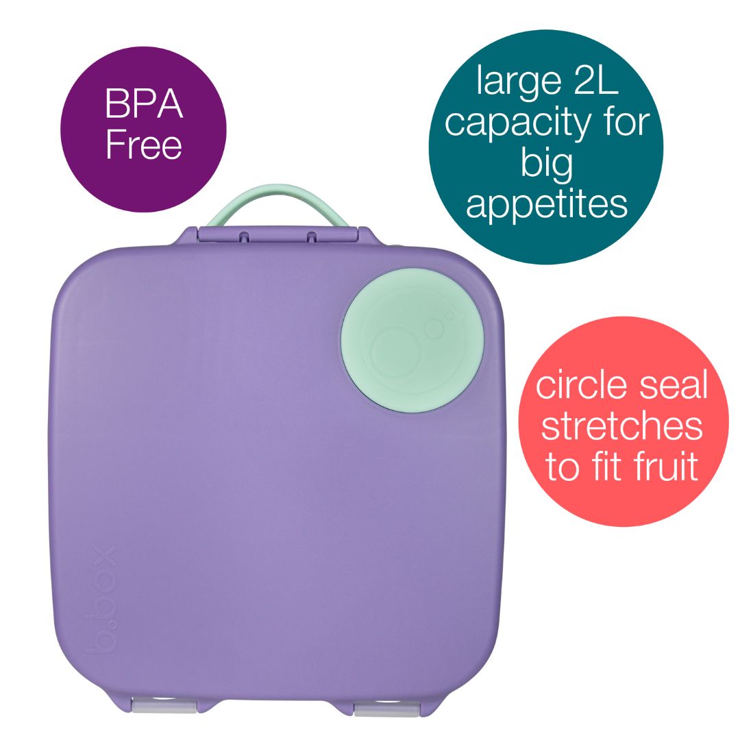Features of large lunchbox with purple lid