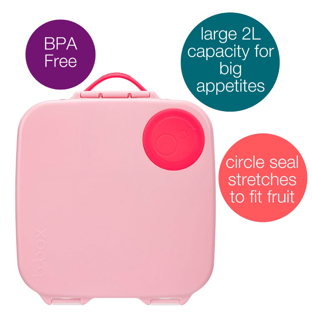 Features of large lunchbox with pink lid