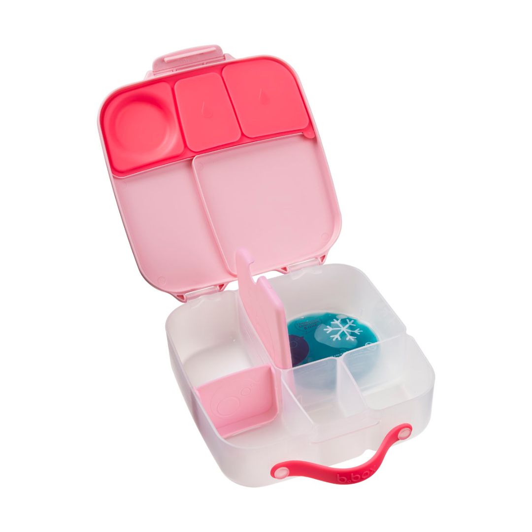 Bento style lunchbox with compartments and ice pack included