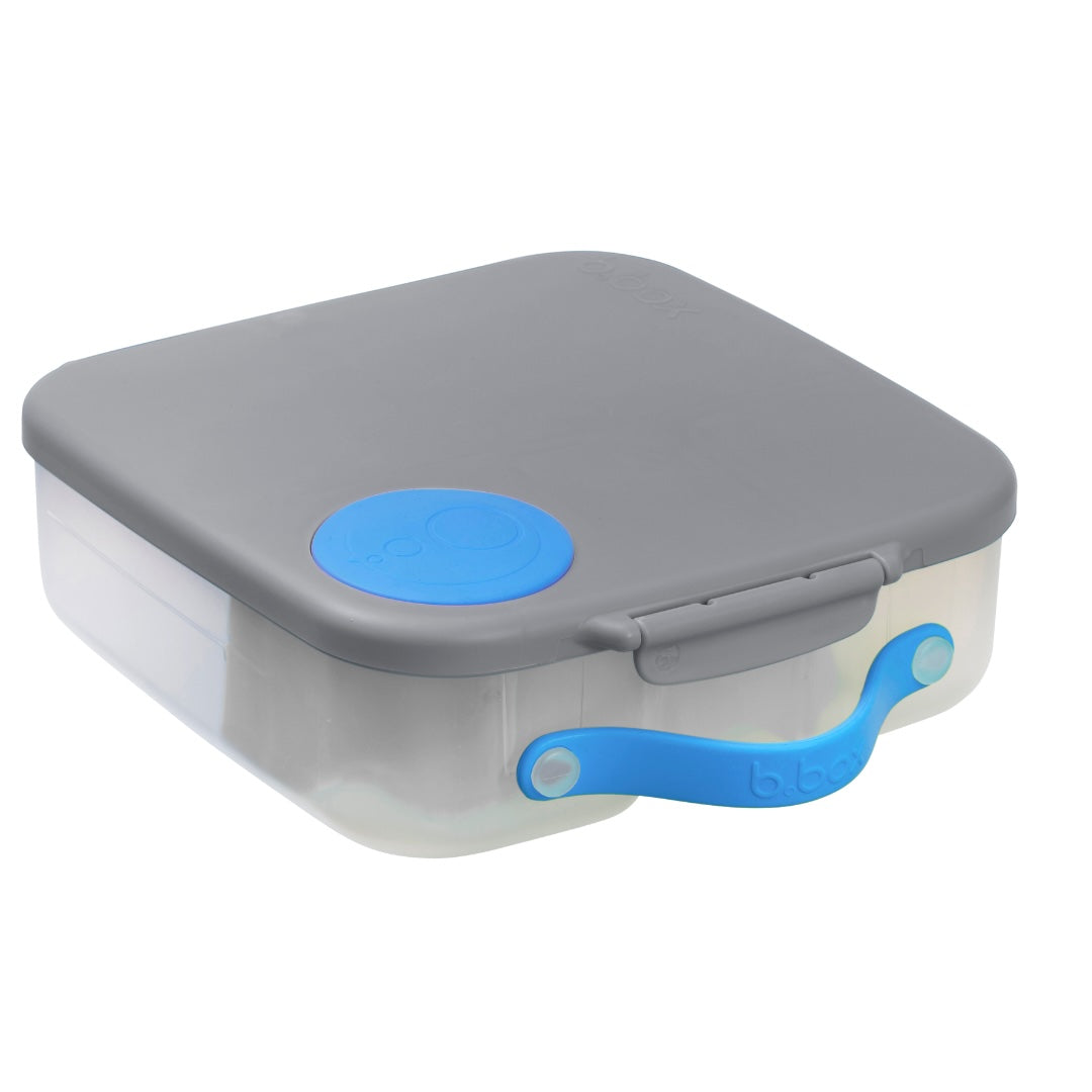 Large lunchbox with blue and grey lid