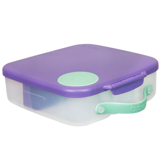 Large lunchbox with purple lid and aqua handle