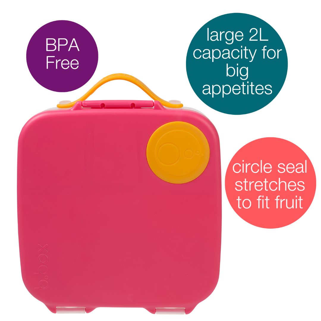 Features of large lunchbox bpa free, with lid and handle