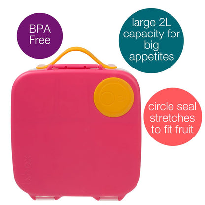 Features of large lunchbox bpa free, with lid and handle